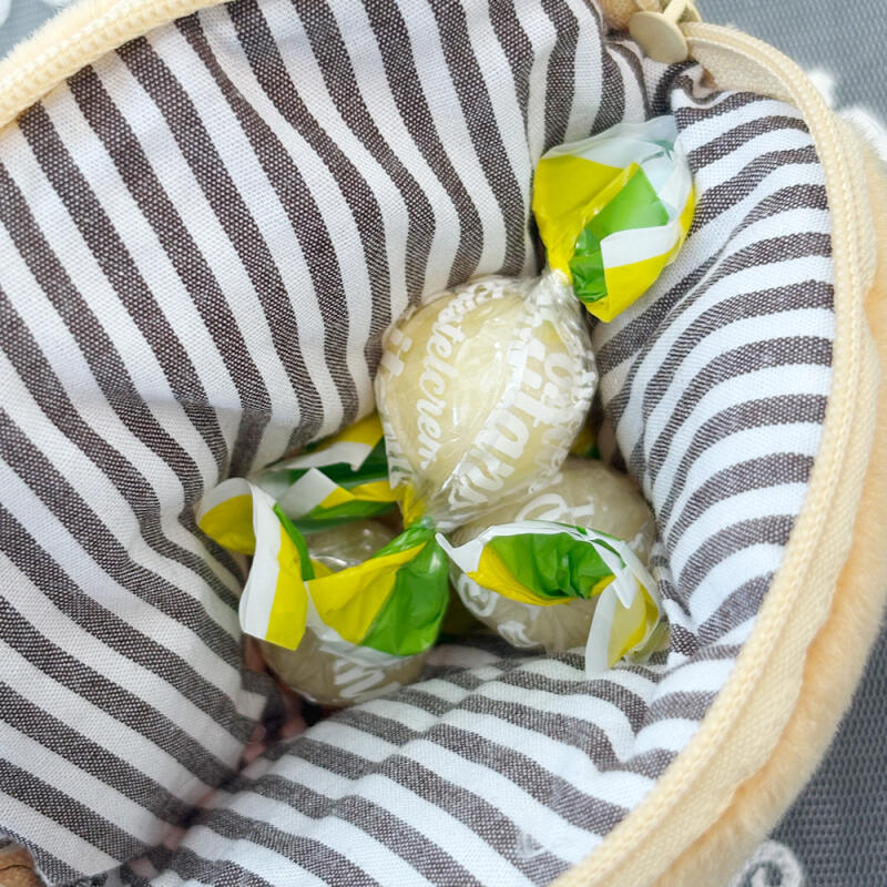 Shiba Inu Shibata-kun Round Mini Pouch