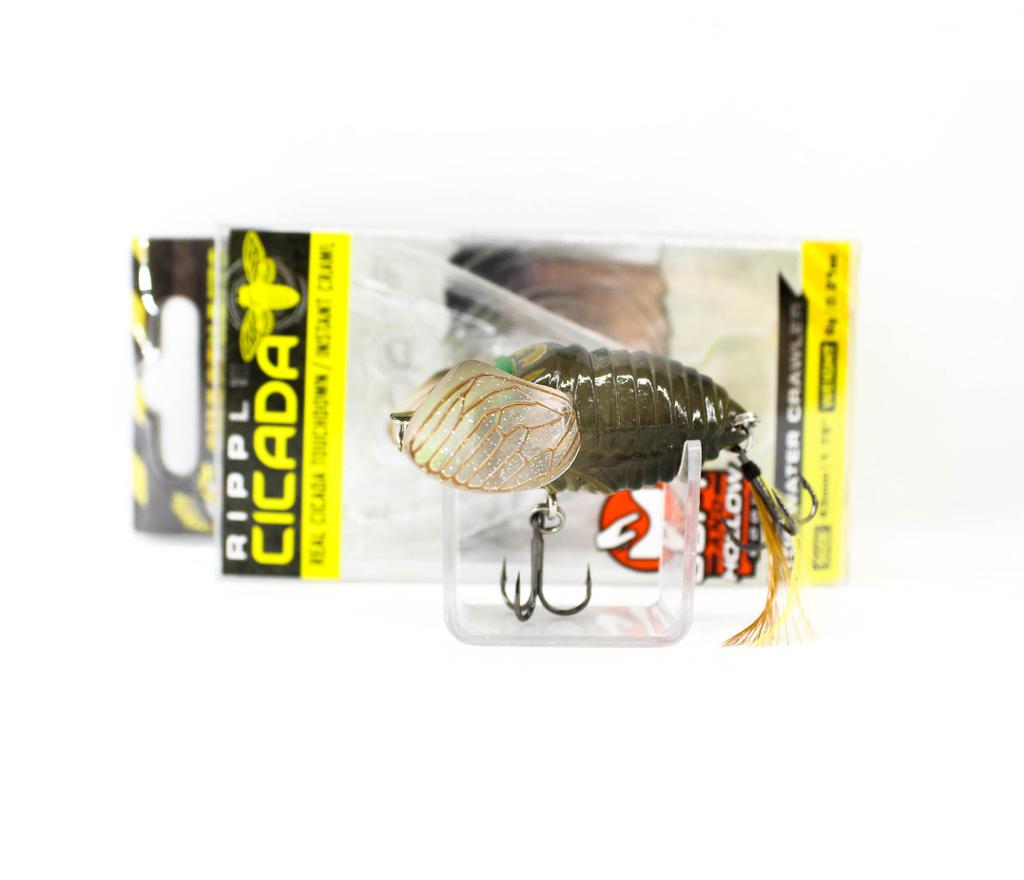 Chasebaits Ripple Cicada 43 Mm Floating Lure 06 (4772)
