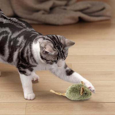 Kedi – Kedi Oyuncakları