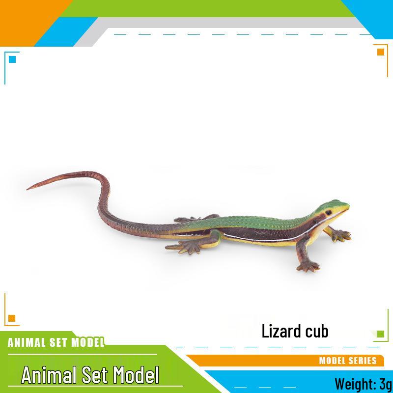 Wild Reptile Lizard Model: Grass Lizard, Skink, Chameleon Decor