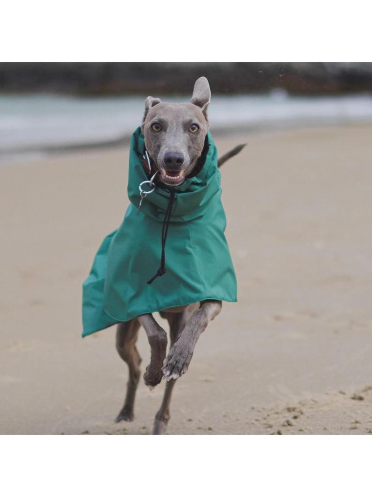 Waterproof Windproof Dog Rain Jacket, Breathable Full-Body Coverage Dry Suit, Pet Rain Coat Poncho For Whippet Greyhound