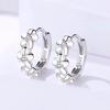 925 Silver Small Rose Flower Round Hoop Earring AAA Zircon For Women Female Charm Engagement Wedding Jewelry