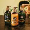 Ruihe Meiren Pine Essential Oil Shampoo