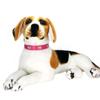Pet Collar Bone Jewelry Adjustable Wear-resistant Fashion Dog Leather Leash