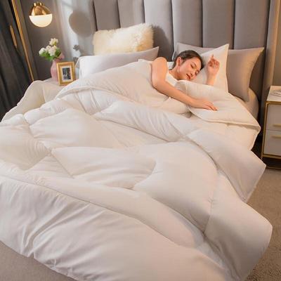 Mr. Gong's Thickened Warm Winter Quilt
