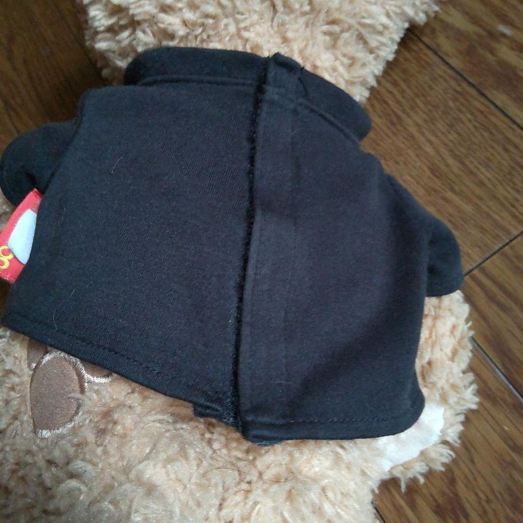 [USED] Antique Tokyo DisneySea30 Teddy Bear