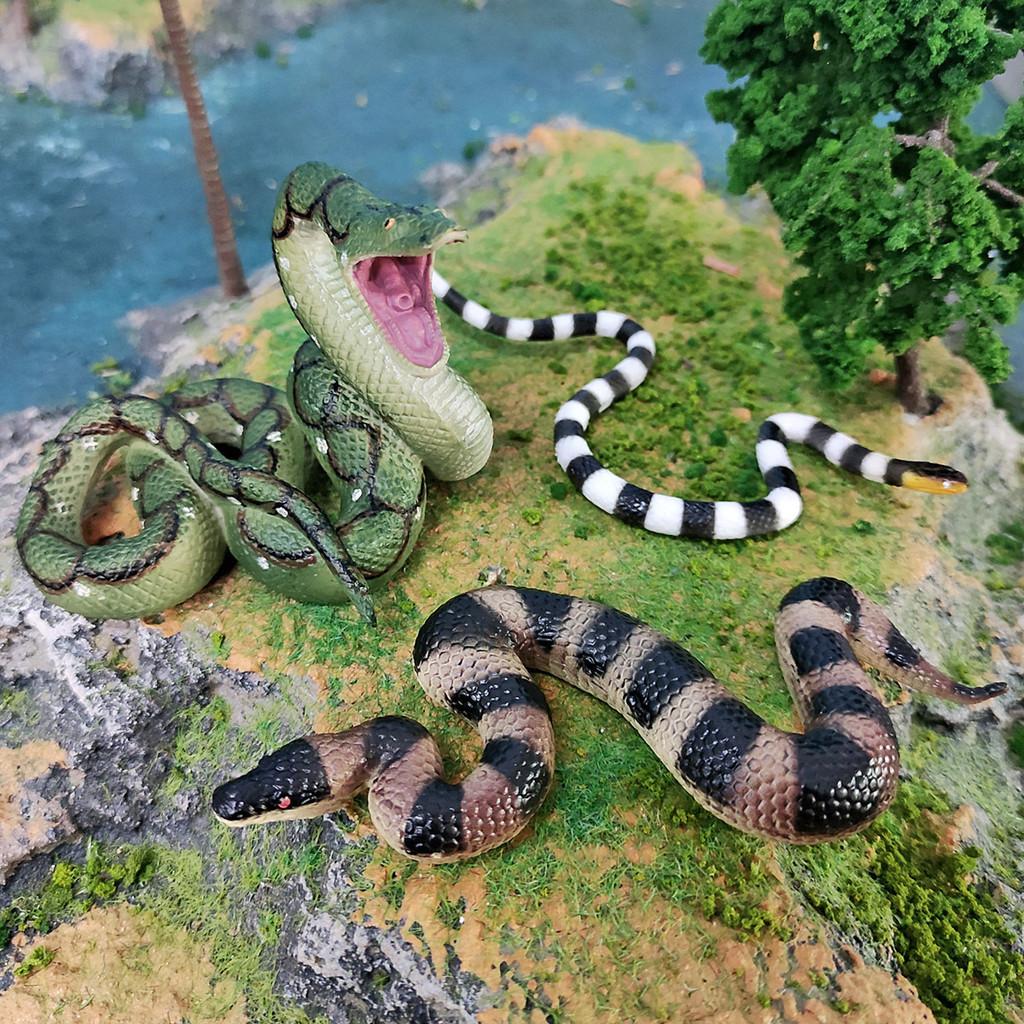 Realistic Snake Model Pvc Reptile Figure For Kids Educational Display And Decor