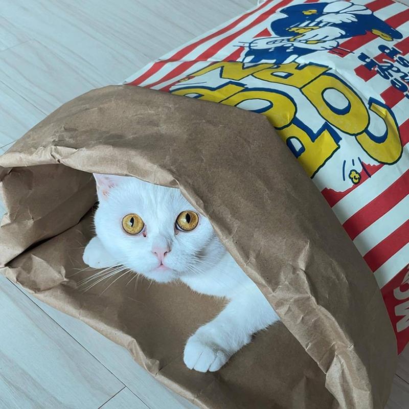 Creative Cute Hidden Food Pet Cat and Dog Kraft Paper Popcorn Paper Bag Puzzle Decompression Sound Chew Dog Toy