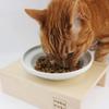 Health Water Food Bowl, Vanilla White, Medium, Cat Food Bowl