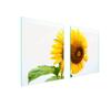 GLAS-KOCHFELD-SCHUTZPLATTE 85x52 BLUME