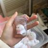New Kawaii Mini Puppy Seal Chicken Handmade Silicone Pinch Squeeze Toy Adult Children Birthday Gift Squishy Toys