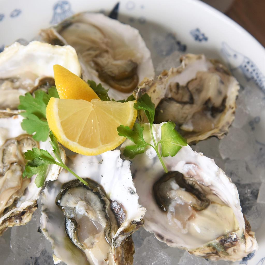 Natural69 Cocomarine Serving Bowl Natural 69 Hasami Ware Cocomarine Serving Microwave and Dishwasher Made In Stylish and Nordic Japanese Housewarming