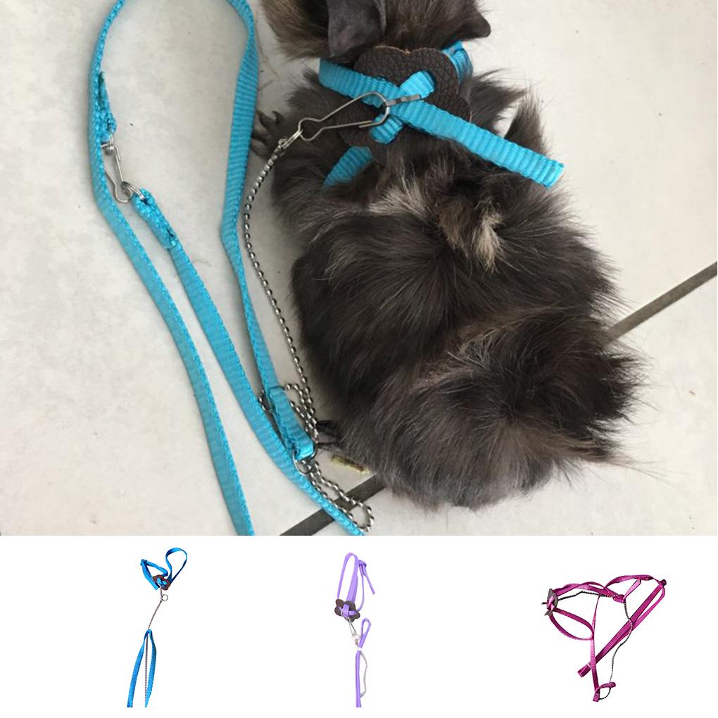 Outdoor Adjustable Bird Vest Leash Bird Training Rope Traction Strap Out Rope
