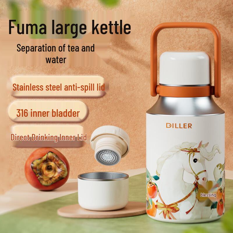 Diller 1000ml Stainless Steel Insulated Kettle with Handle