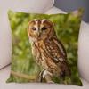 Cute Animal Pillowcase Wild Owl Cushion Cover Decorative Sofa Home Children's Room