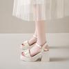 High-heeled sandals women's 2025 summer new outer wear with fairy style with skirt wedge heel fashion high-heeled sandals