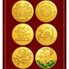 A Complete Set of Chinese Zodiac Dragon Commemorative Coins with Ten Zinc Alloys