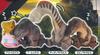 Shoulder Zun Jurassic Land of Resurrection Set of Gacha Capsule Toy Fig. World [Complete 4]