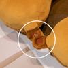 Memory Cotton Travel Neck Pillow Cartoon Capybara Soft Airplane Pillow Cute Head Rest Neck Pillow