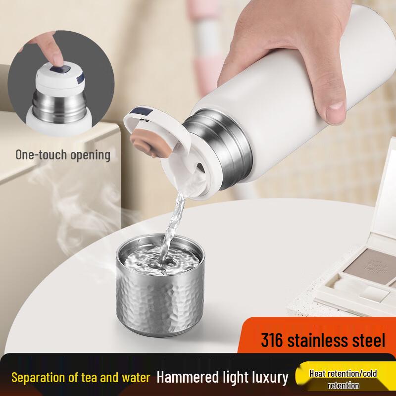 Premium 316 Stainless Steel Insulated Tea Infuser Bottle