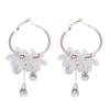 1pair Sweet Transparent Crystal Flower Drop Earrings for Women Temperament Long Tassel Earrings Female Elegant Jewelry Gift