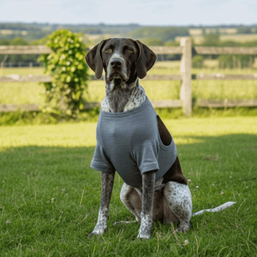 Breathable Dog Leg Sleeve Long Sleeve Professional Anti-lick Sleeve Polyester High Elasticity Dog Knee Pads Joint Protection