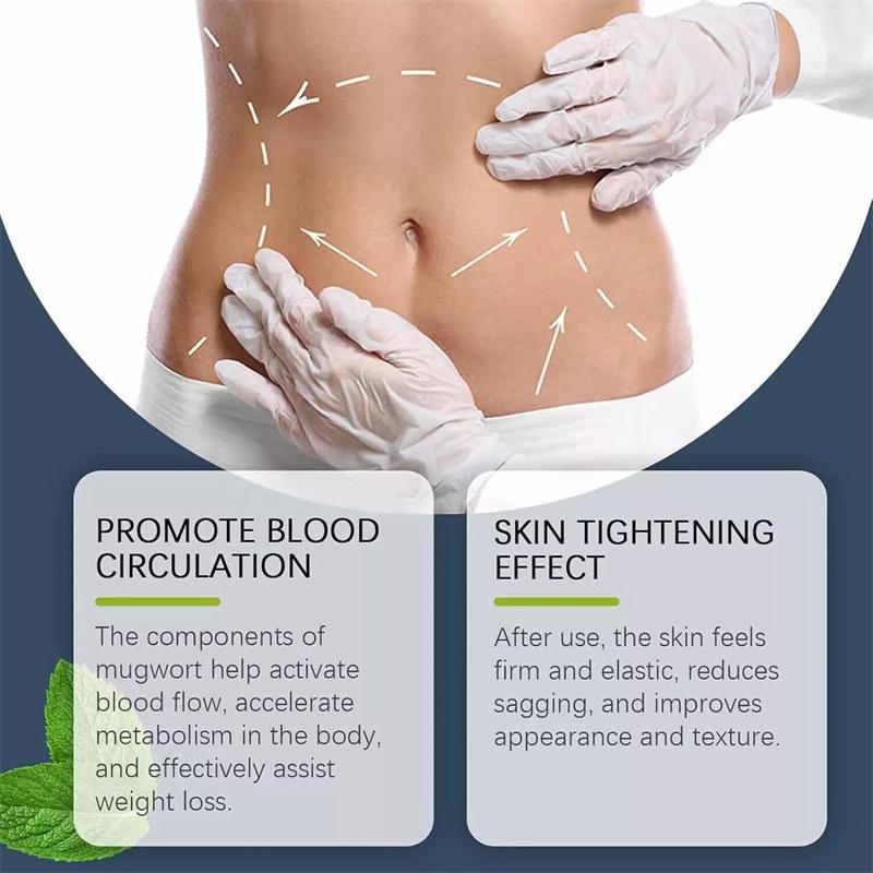 12pcs/box Slimming Patches WEIGHT LOSS DIET Extra Strong Detox Fat Burn Slim Patch