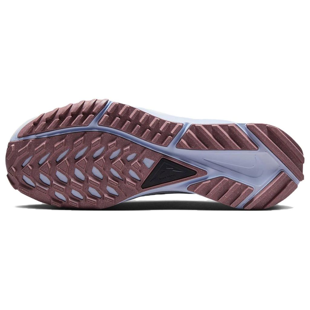 Nike React Pegasus Trail 4 Light Smoke Smokey Mauve Women Sneakers Grey Light-Smoke-Grey Black DJ6159-005