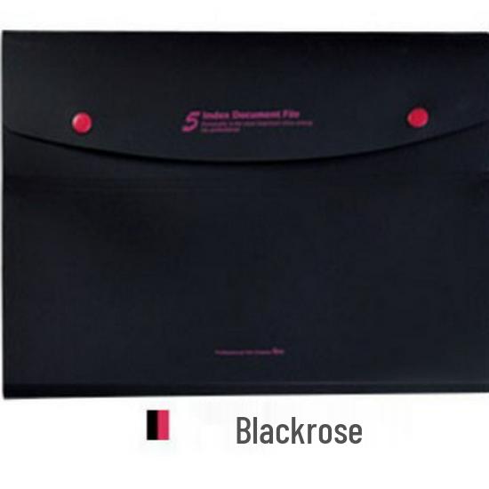 Großkapazitäts-Dokumentenordner mit 5 Fächern & Beleg-Organizer