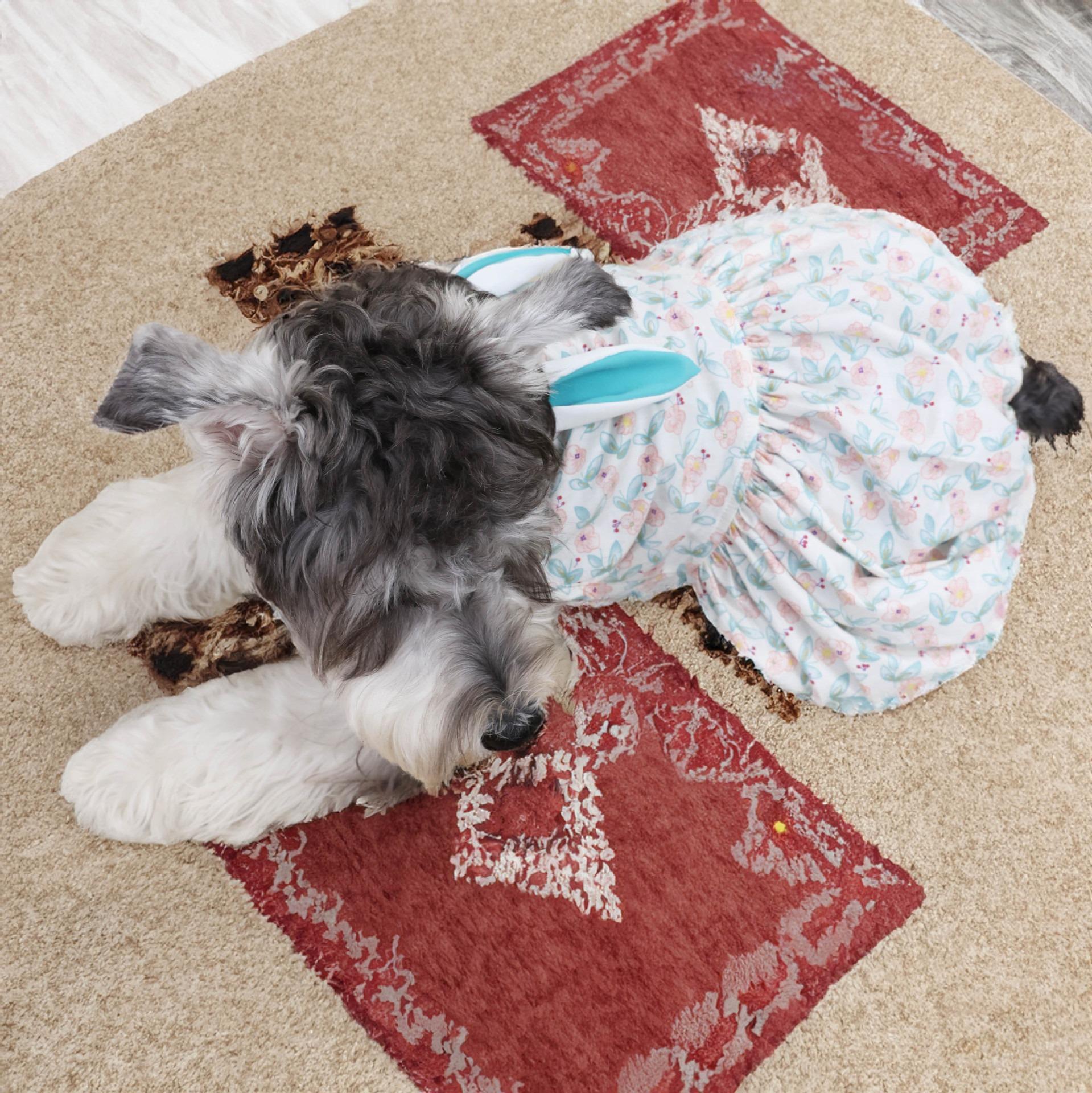 

Pet clothes summer dog skirt summer thin small dog clothing cute princess summer dog skirt manufacturer 2XL морская волна