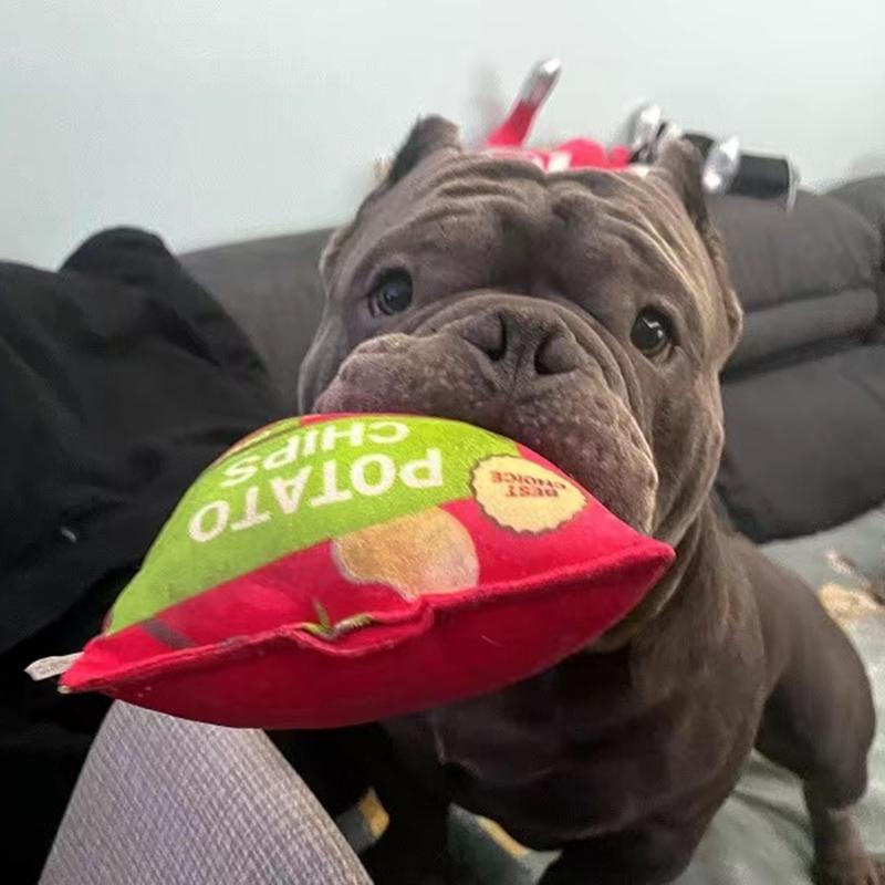 Funny French Bulldog Pet Chew Toy Creative Simulation Squeaky Puppy Dog Toys for Small Medium Dogs Shiba Inu Mascotas Products