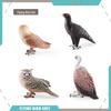 Wild Birds Science Education Model: Barn Owl, Eagle, Vulture, Owl Figurines for Children