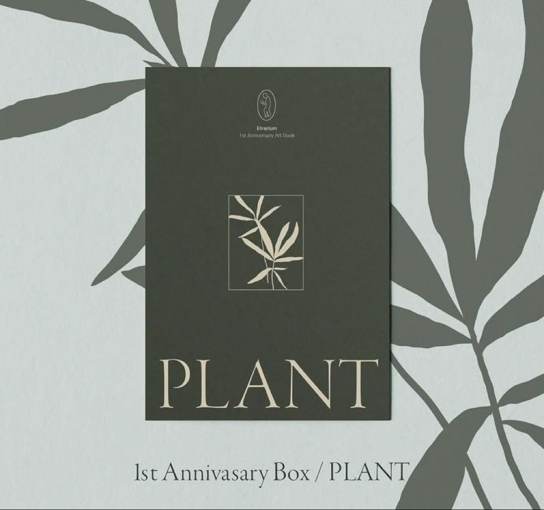 

[USED] Daisei Miyakawa, Miyakawa-kun, Etrarium Art Book, Instax, Postcard