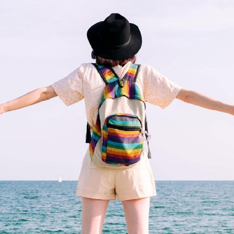 Wing Shape Carabiner Acrylic Buckle Keychain Lovely Phone Pendant Backpack Decorative Buckle Hanging Diy Accessories