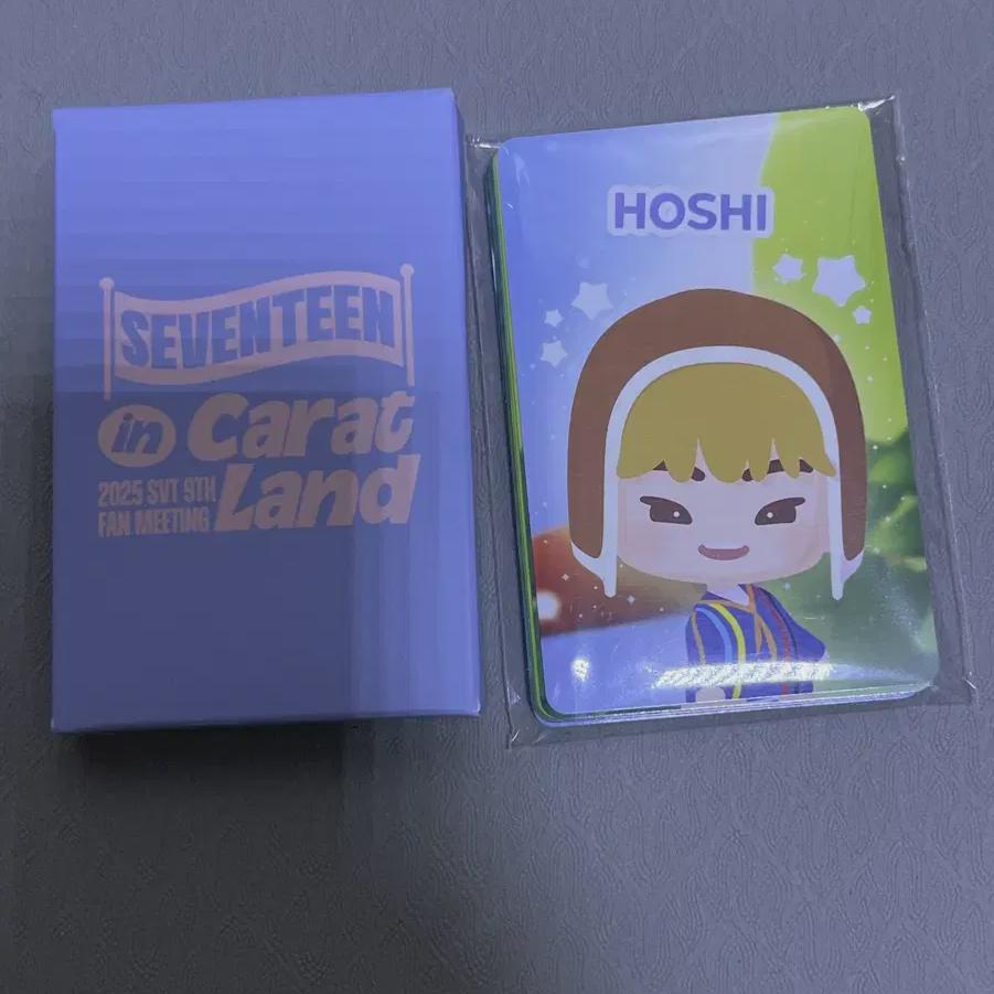 

Seventeen 25 Carat Land Carat Zone + Puzzle Teen Photocard