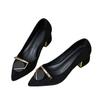 Black Fashion Single Shoes Women's Pointed Head Thick Heel 2025 Autumn New Temperament Mother High Heels Retro Socialite Style Shoes