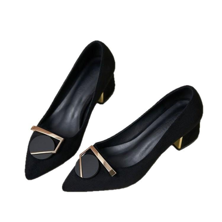Black Fashion Single Shoes Women's Pointed Head Thick Heel 2025 Autumn New Temperament Mother High Heels Retro Socialite Style Shoes