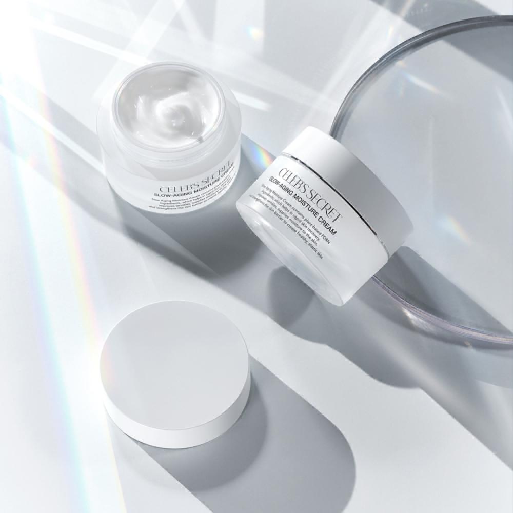 Beforeandafter Slow Aging Moisture Cream + Purifying Foam Cleansing Composition