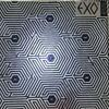EXO Overdose Autogramm-Album Baek Hyun-po
