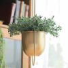 Garden Wall & Ceiling Swinging Modern Home Decoration Hanging Basket Planter Plant Pot Flower Pot