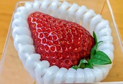 Sembikiya Queen Japanese Strawberries: 10 Fresh Seeds for Planting