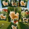 Transparent Pet Fur Storage Pendant Dog Cat Hair Keepsake Bag Charm Memorial Souvenir for Pet Owners Pet Hair Keepsake Capsule