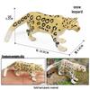 Wild Safari Animal Figurines: Giraffe, Elephant, Rhinoceros, Brown Bear, Tiger, Lion, Leopard, Hippopotamus - Solid Cognitive Toys
