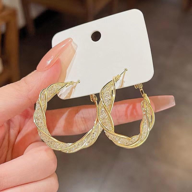Premium Light Luxury Circle Earrings Metal Super Flash Earrings Niche Design Cold Wind Earrings Women