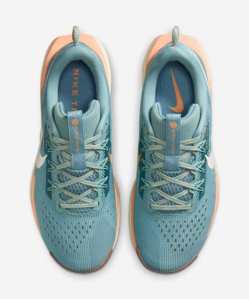 Nike Pegasus Trail 5 W DV3865-010 [Shipped from Korea] 100% Authentic