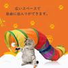 Foldable Cat Pet Indoor Pet Exercise Toy for and Chew Prevents Lack of Relieves Easy To with Holes and Made of Rainbow Compact Tunnel, Supplies,
