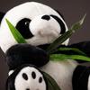 Süßes Panda Golfschlägerhaube Weich mit Schützender Socke Sicher