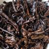 Lao Tong Zhi 7978 Haiwan Old Comrade Puer Tea Cake 2007 357g Ripe Pu-erh Shu Tea