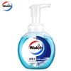 Foam Antibacterial Hand Wash, Health Care, 2 X 300ml