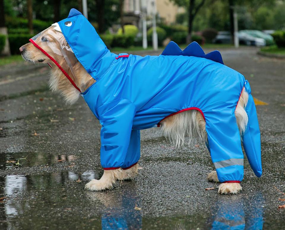Impermeabile per Border Collie a Forma di Squalo Poncho Pioggia per Cani Grandi Husky Abbigliamento Impermeabile a Quattro Zampe per Esterno
